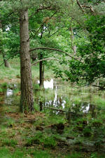 strijen_150x225_009.jpg