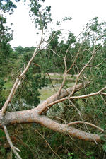 strijen_150x225_018.jpg