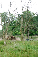 strijen_150x225_030.jpg