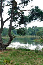 strijen_150x225_034.jpg