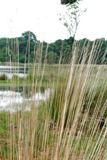 strijen_150x225_036.jpg