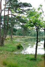 strijen_150x225_042.jpg