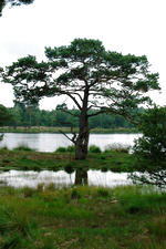 strijen_150x225_045.jpg