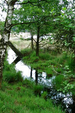 strijen_150x225_047.jpg