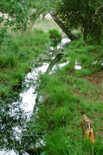 strijen_150x225_048.jpg
