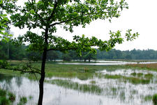 strijen_225x150_001.jpg