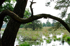 strijen_225x150_004.jpg
