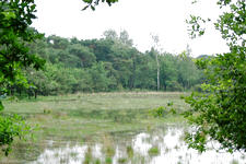 strijen_225x150_008.jpg
