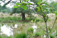 strijen_225x150_011.jpg