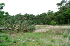 strijen_225x150_020.jpg