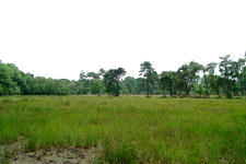 strijen_225x150_023.jpg