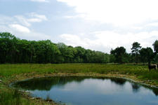 strijen_225x150_026.jpg
