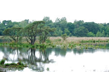strijen_225x150_035.jpg