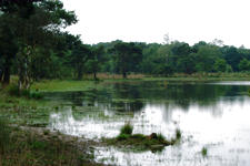 strijen_225x150_037.jpg