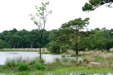 strijen_225x150_038.jpg