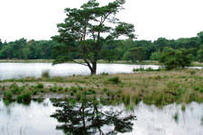 strijen_225x150_040.jpg