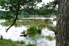 strijen_225x150_041.jpg
