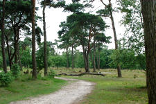strijen_225x150_043.jpg