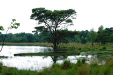 strijen_225x150_044.jpg