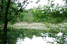 strijen_225x150_052.jpg