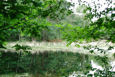 strijen_225x150_053.jpg