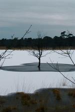 strijen_150x225_001.jpg