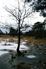 strijen_150x225_011.jpg
