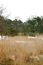strijen_150x225_021.jpg