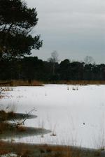 strijen_150x225_023.jpg