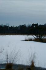 strijen_150x225_025.jpg