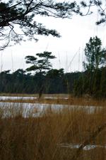 strijen_150x225_030.jpg