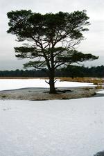 strijen_150x225_034.jpg