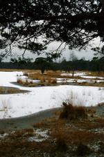 strijen_150x225_035.jpg