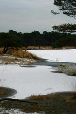 strijen_150x225_036.jpg