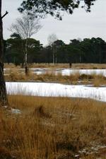 strijen_150x225_038.jpg
