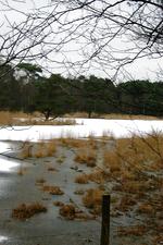 strijen_150x225_041.jpg