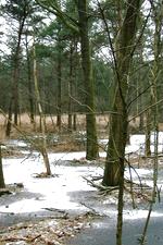 strijen_150x225_047.jpg