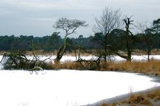 strijen_225x150_006.jpg