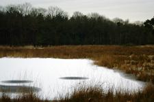 strijen_225x150_018.jpg