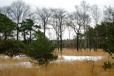 strijen_225x150_019.jpg