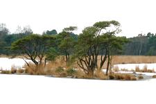 strijen_225x150_022.jpg