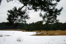 strijen_225x150_024.jpg
