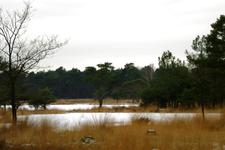 strijen_225x150_029.jpg