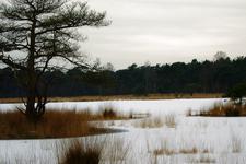 strijen_225x150_031.jpg