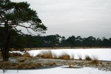strijen_225x150_033.jpg