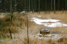 strijen_225x150_044.jpg