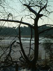 strijen_170x227_004.jpg