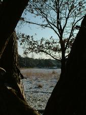 strijen_170x227_008.jpg