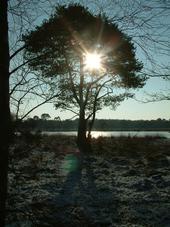 strijen_170x227_024.jpg