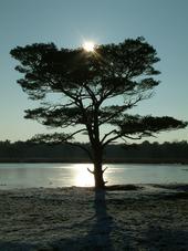 strijen_170x227_025.jpg